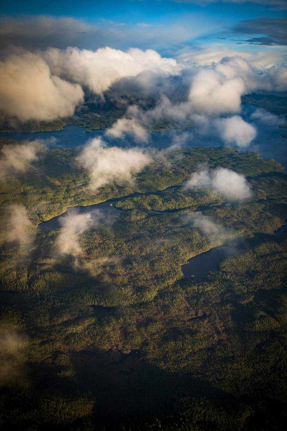 An aerial view of a small section of the Great Bear Rain Forest near Bella Bella, B.C., Jan. 29, 2016. (John Lehmann/The Globe and Mail)