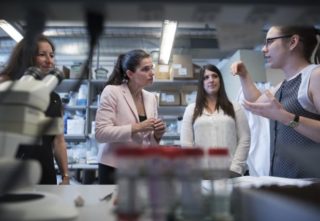 Female health scientists face large gender bias in access to federal research dollars, study reveals